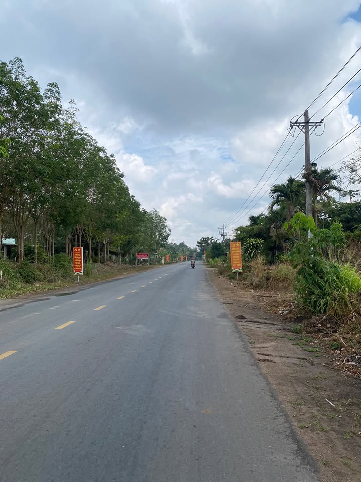 Đất Vàng 8000m² Mặt Tiền ĐT741c, An Long, Bình Dương - Sổ Đỏ Thổ Cư