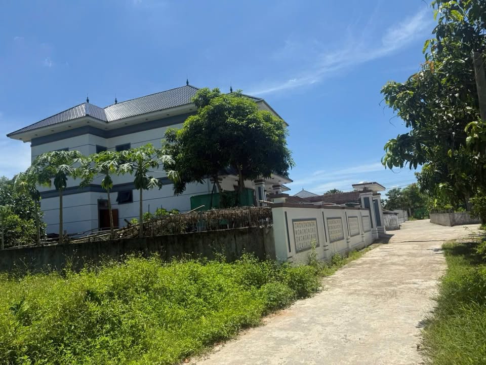 Bán Gấp Lô Đất 123.5m² Xã Toàn Lưu, Thạch Hà, Hà Tĩnh - Giá Tốt