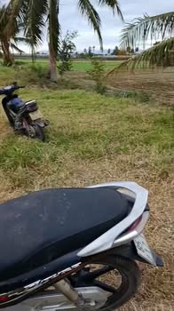 Bán Đất Vườn Ninh Thuận 3000m² - Giá 1 Tỷ, Sẵn Sàng Kinh Doanh Chăn Nuôi