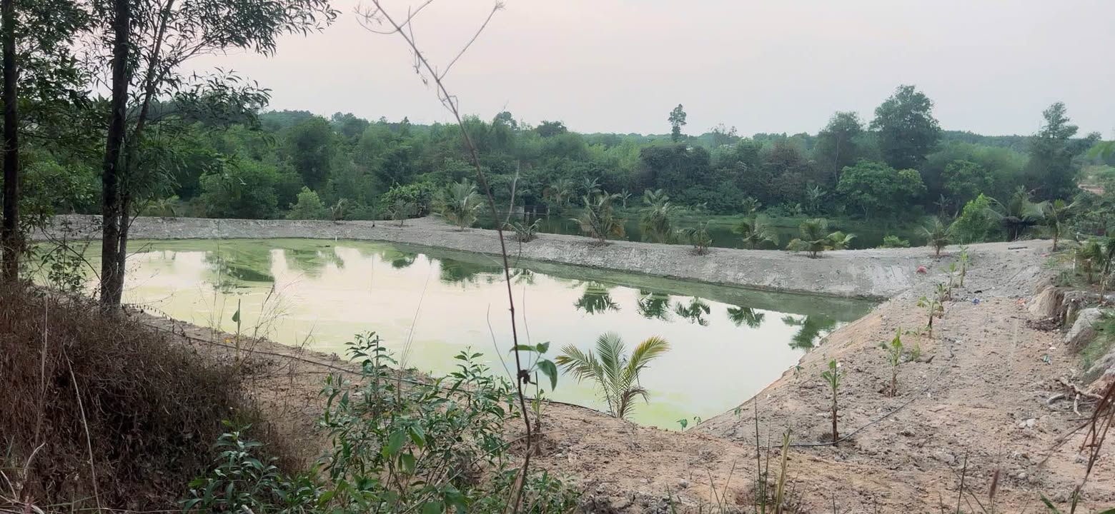 Nhà nghỉ dưỡng Long Bình, Biên Hòa 300m² - Giá tốt hiếm có!