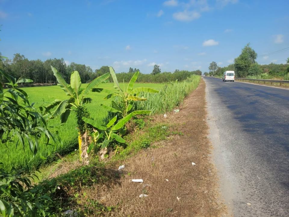 Đất nền QL 62 Thạnh Hóa 3844m² - Tiềm năng tăng giá vượt trội!