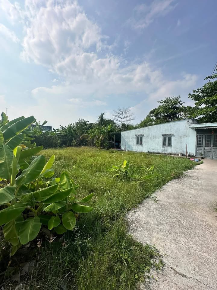 Đất nền Mỹ Lộc Cần Giuộc 80m² giá 650 triệu - Giá tốt hiếm có!