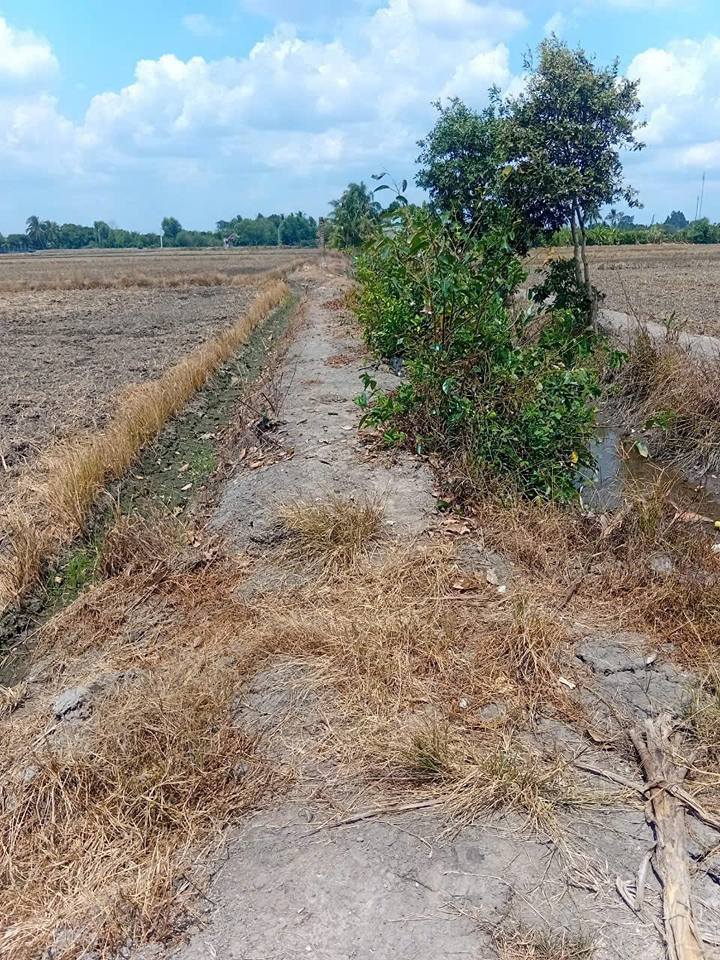 Đất Nền Bình An, Thủ Thừa 1000m² - 225 Triệu, Tiềm Năng Tăng Giá!