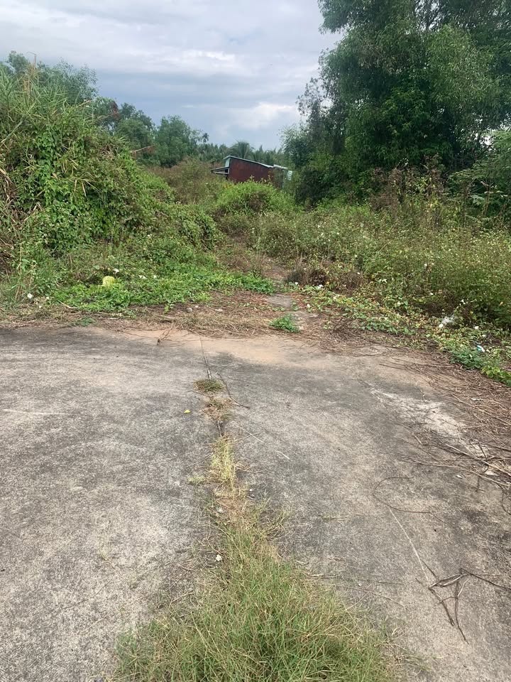 Bán Đất Vườn Long An 2213m² - Mặt Tiền Sông, Sổ Đỏ, Giá 1.85 Tỷ