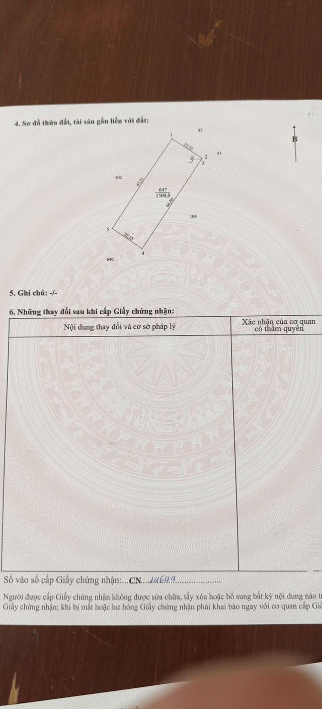 Bán Gấp Đất Lúa 1500m² Sổ Riêng - Bến Lức, Long An Giá Tốt
