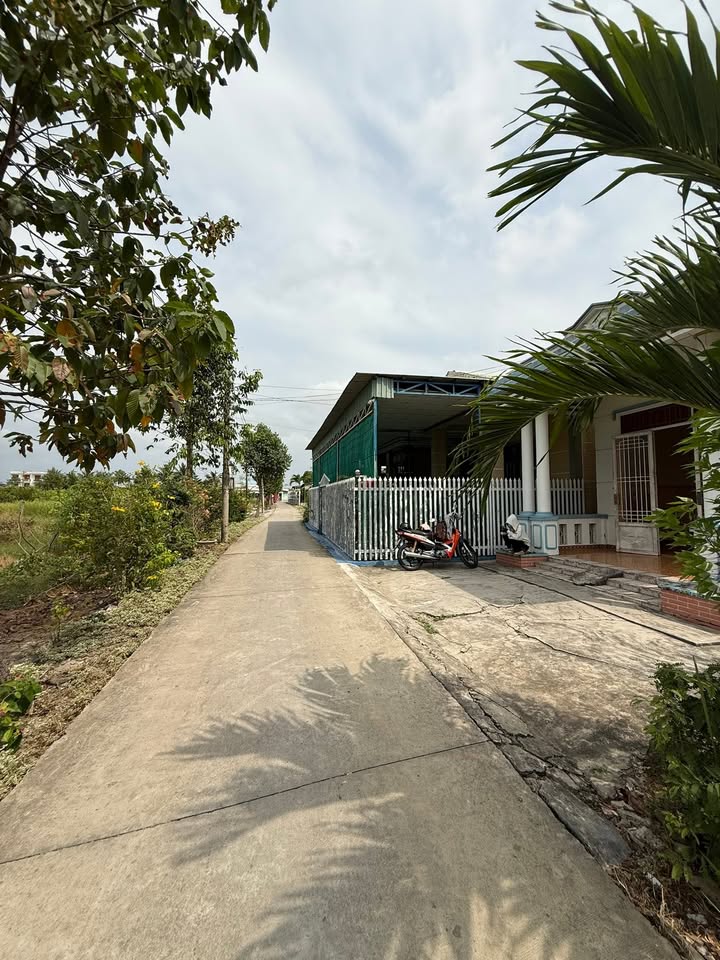 Nhà cấp 4 Cần Đước 168m² giá 1.6 tỷ - Giá tốt hiếm có!