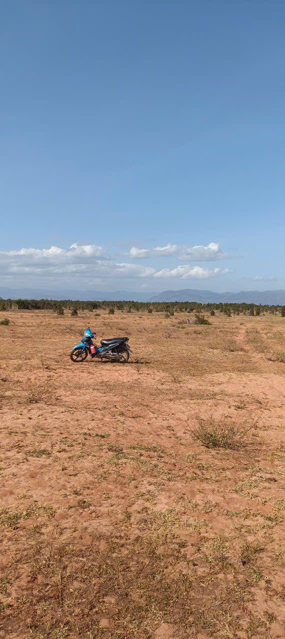 Đất Nền Hồng Thái, Bình Thuận - 40.000m² Sổ Sẵn, Giá Đầu Tư 45 Triệu/Sào