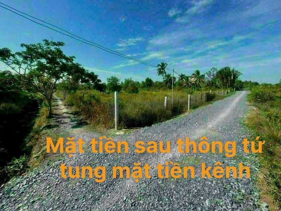 Đất vườn Bến Lức Long An 3138m² - Tiềm năng tăng giá vượt trội!