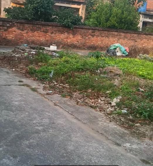 Đất nền Cẩm Giàng - Lô góc 100m² sổ đỏ, giá đầu tư chỉ từ 1.x tỷ