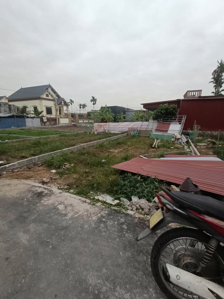 Đất nền Kiến Hưng Kiến Thuỵ 62m² 1,2 tỷ - Sổ đỏ chính chủ