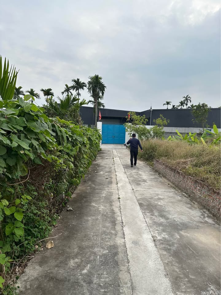 Xưởng Hưng Đạo, Dương Kinh 400m² - Hoạt động ngay!