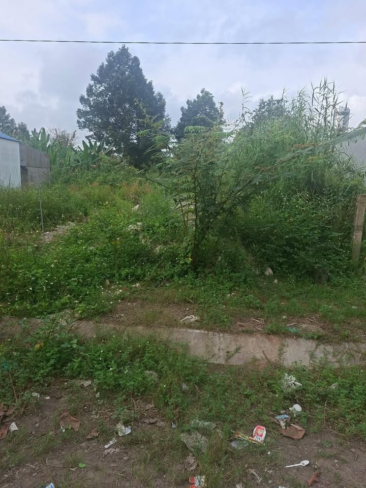 Đất nền Thạnh Đức, Gò Dầu 100m² chỉ 370 triệu - Sổ đỏ chính chủ!