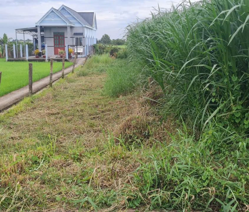 Nhà Mặt Tiền Lộ Đình Tân Trụ - 250m² Sổ Sẵn - 1.21 Tỷ