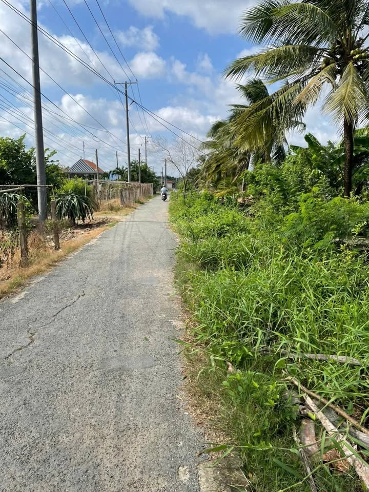 Đất Mặt Tiền Kênh Thanh Phú Long, Long An - 255m² Thổ Cư, Giá 999 Triệu