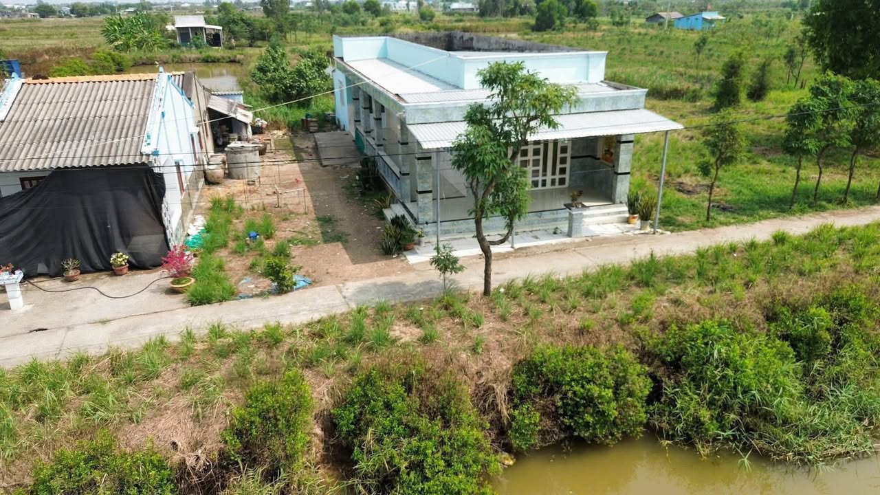 Bán Đất Vườn 929m² Tân Phú Đông, Tiền Giang - Giá Tốt 1.268 Tỷ