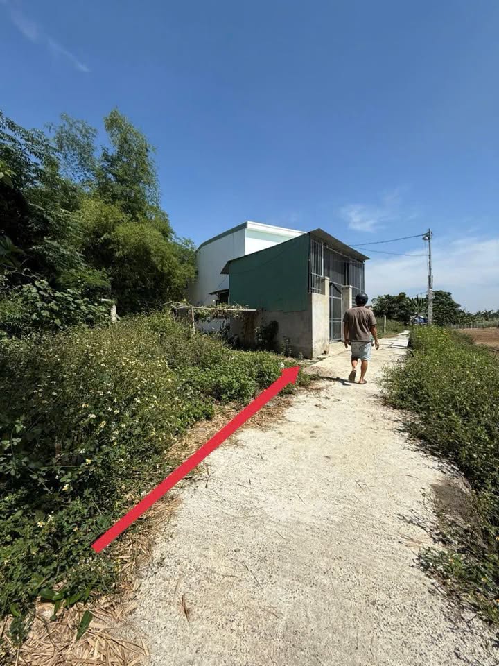 Bán gấp đất Phù Quang, Quy Nhơn 135m² - Giá 329 triệu chính chủ