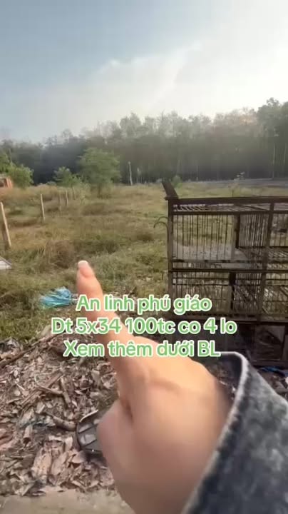 Đất nền An Linh, Phú Giáo 170m² chỉ 500 triệu - Đất thổ cư 100%!