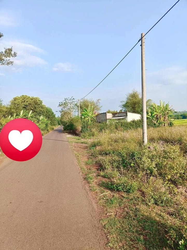 Bán Đất Vũng Tàu 900m² Đường Nhựa Hàng 10 - Sổ Sẵn Giá Tốt