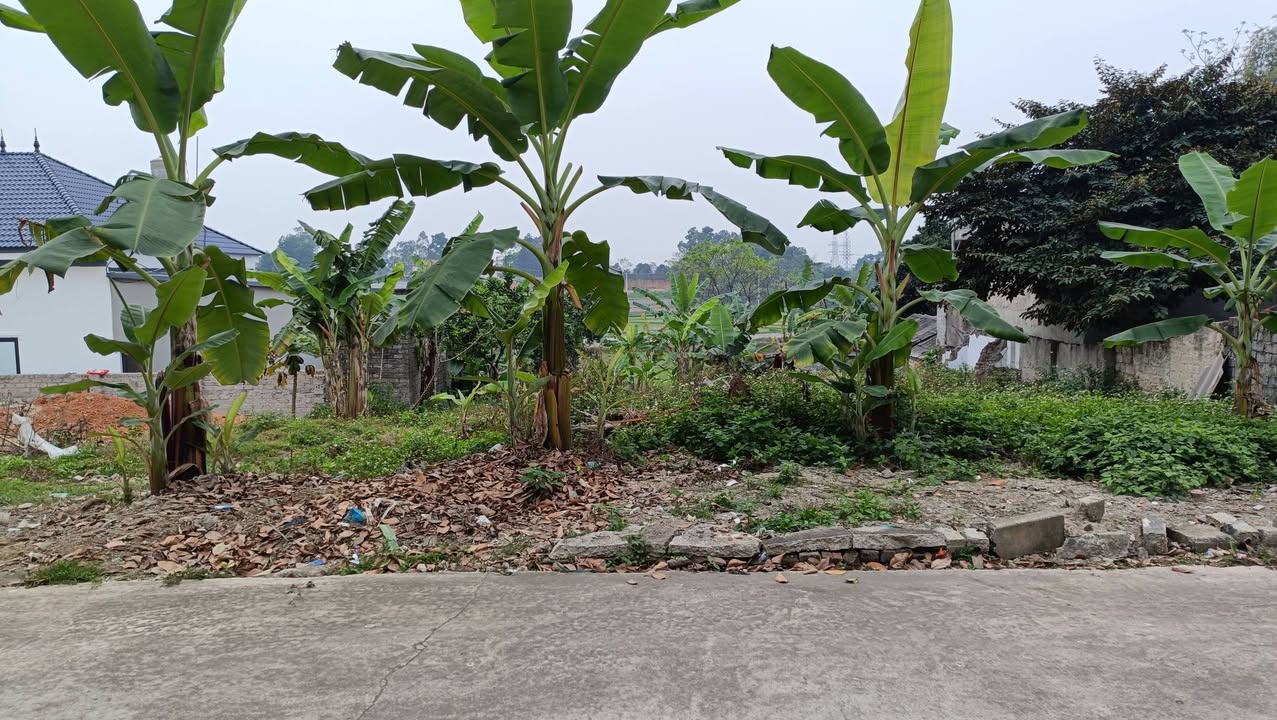 Đất nền Hiệp Hòa 125m² - Sổ đỏ chính chủ, ô tô tránh thông thoáng!