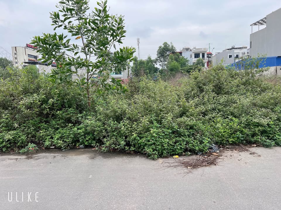 Đất Vàng Đào Tùng, Bắc Ninh 136m² Hướng Tây - Sẵn Sàng Đầu Tư/An Cư