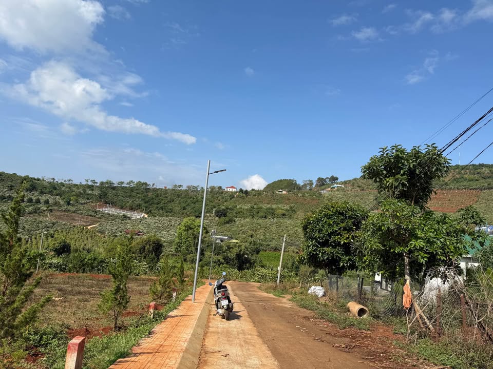 Đất nền Mê Linh Đà Lạt 240m² - Nghỉ dưỡng lý tưởng, view đẹp