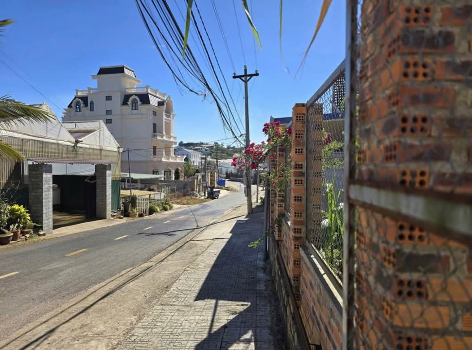 Bán Đất Vườn Đà Lạt 250m² Mặt Tiền Đường Chính Đa Phú - Sổ Riêng