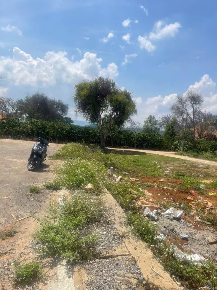 Bán đất Tà Nung Đà Lạt 200m² - Sổ đỏ rõ ràng, tiềm năng sinh lời cao