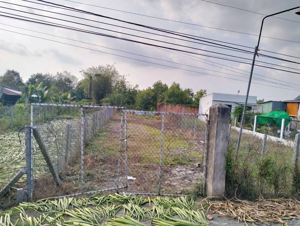 Đất nền Tân Nhuận Đông 261m² - Sổ đỏ chính chủ, view sông