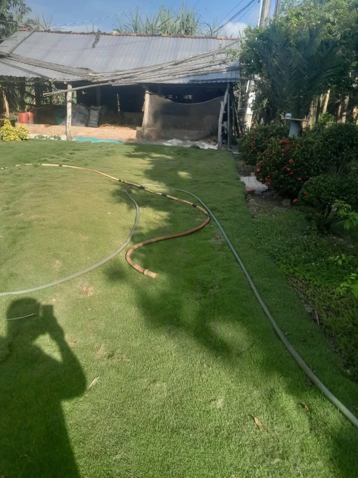 Đất Nền Xã Long Thắng, Lai Vung 540m² - Sổ Đỏ Chính Chủ!