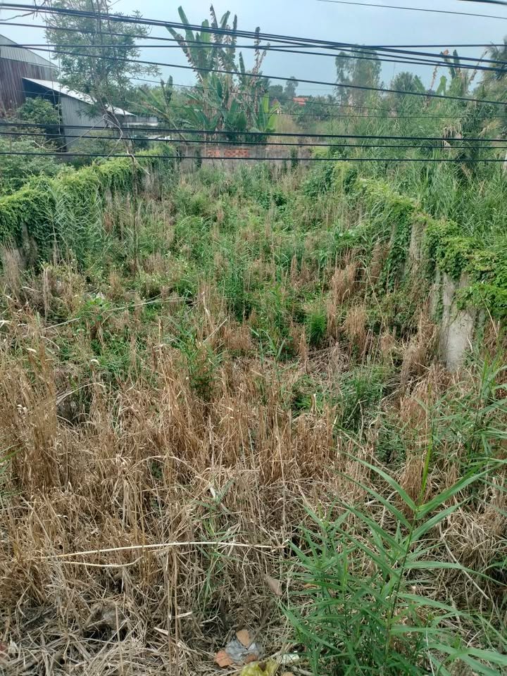 Bán Đất Nền 154m² Mặt Tiền ĐT846, Xã Ba Sao, Đồng Tháp - Giá 700 Triệu