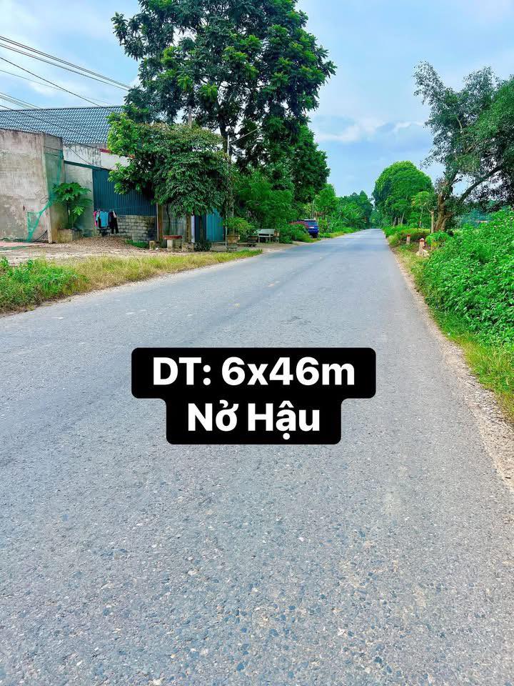 Bán Đất Nền Cẩm Thủy, Thanh Hóa - 276m² Lô Liền Kề, Quốc Lộ 217