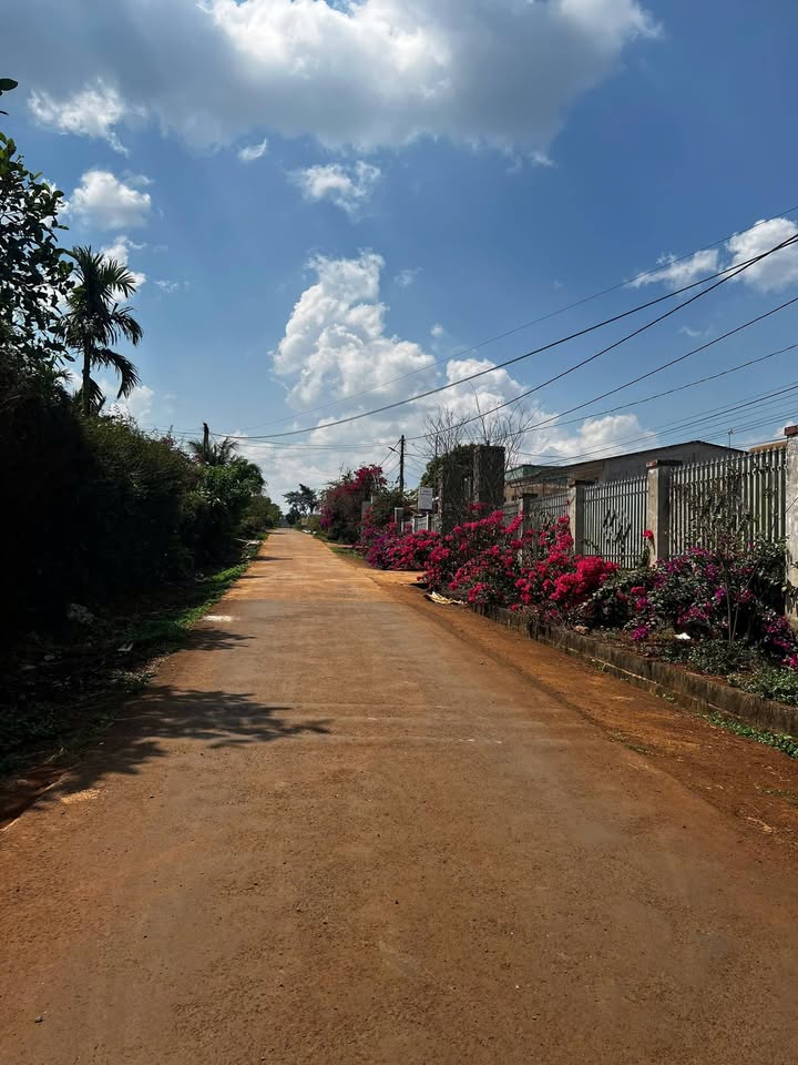 Đất Nền 1000m² Phường Cư Bao, Buôn Ma Thuột - Sẵn Sàng Kinh Doanh, Phân Lô