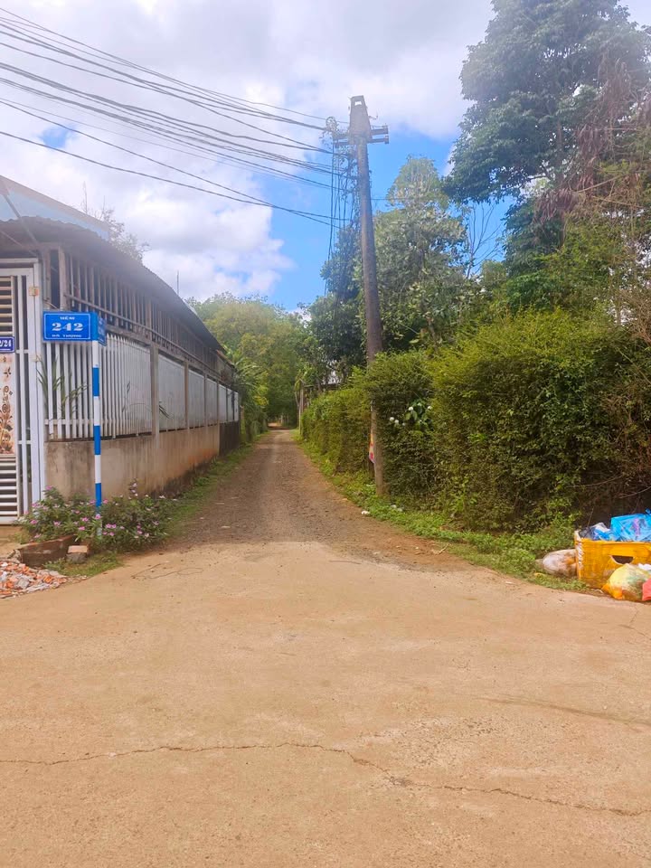 Đất nền Hẻm 242 Dã Tượng BMT 150m² - Pháp lý rõ ràng!