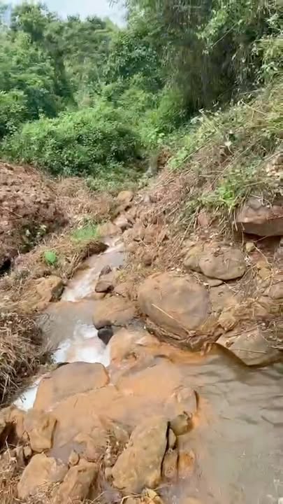 Đất Vườn Đông Hòa, Phú Yên 1800m² - Sinh Thái Xanh, View Thiên Nhiên!