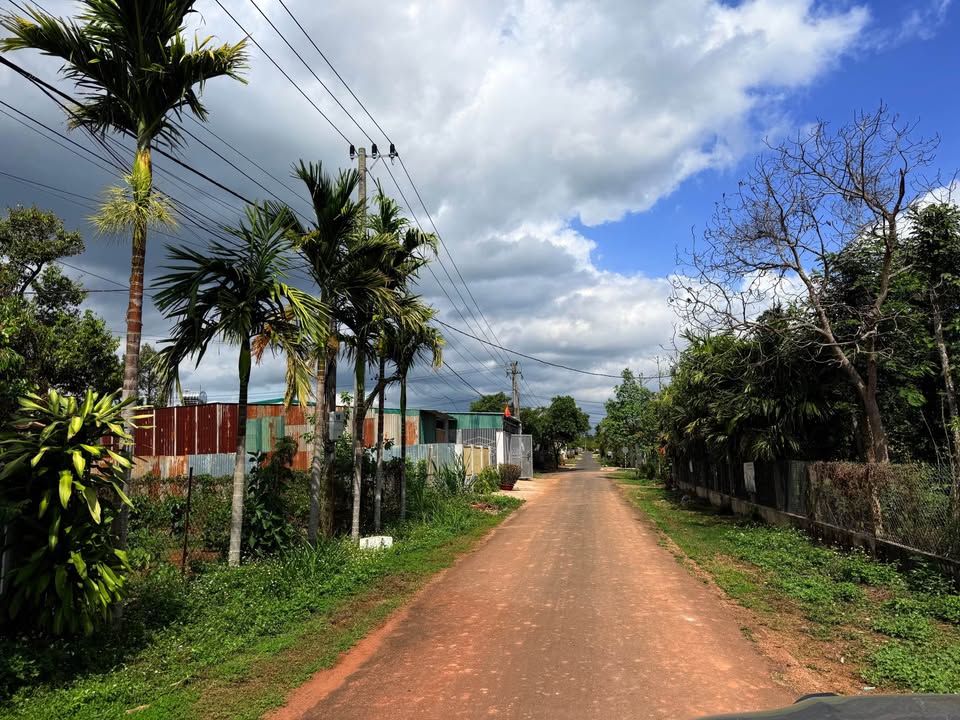 Bán Gấp Đất 240m² Phường Ea Tam, Buôn Ma Thuột - Sổ Đỏ Thổ Cư Sẵn Sàng