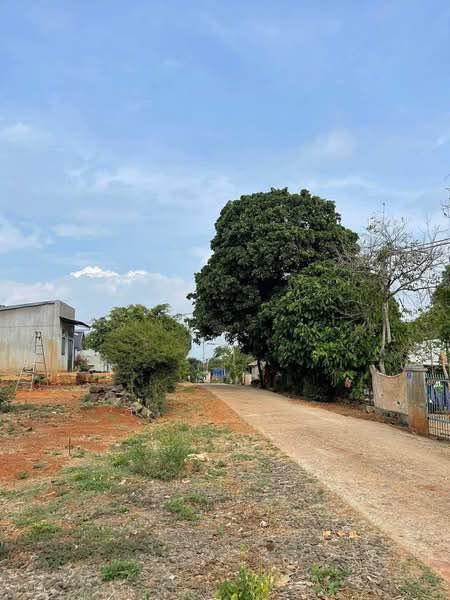 Đất Nền Ea Tu - Buôn Ma Thuột 100m² View Hồ Ea Nhái - Sổ Đỏ Tách Bi