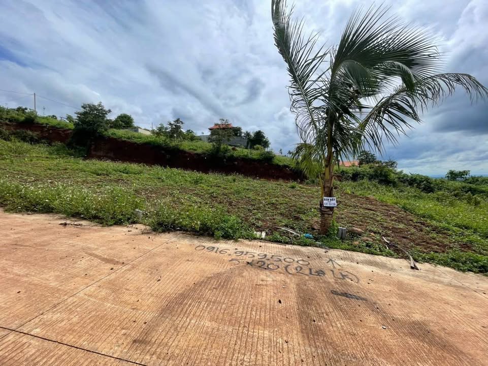 Đất nền Tân Lợi Buôn Ma Thuột 100m² - Sổ đỏ chính chủ!