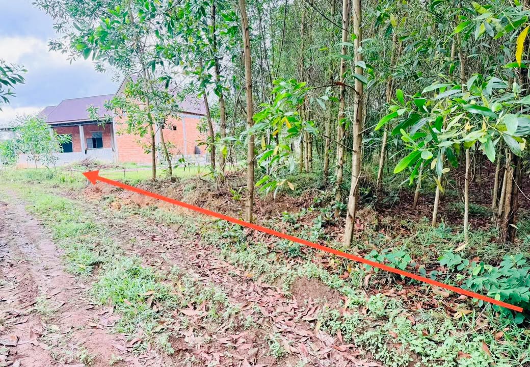 Đất Nền 640m² Phong An, Thừa Thiên Huế - Sổ Hồng Sẵn, Xe Hơi Tới Đất