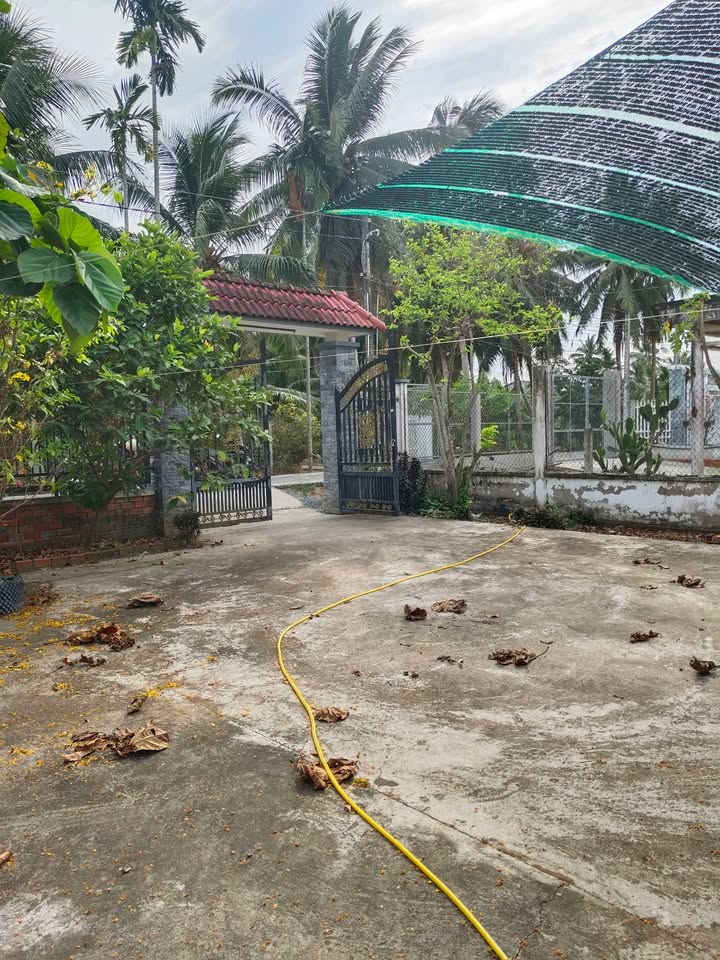 Nhà vườn 3294m² Sơn Hòa, Bến Tre - Ô tô vào tận nhà!