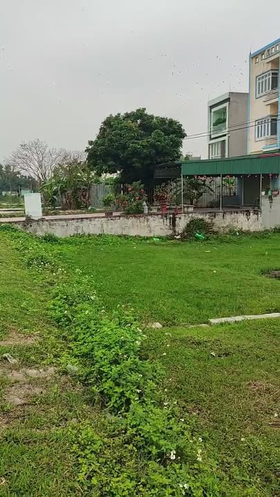 Đất nền Mặt Tỉnh lộ 391, Hà Thanh, Ninh Giang - 100m², Kinh doanh đắc lợi