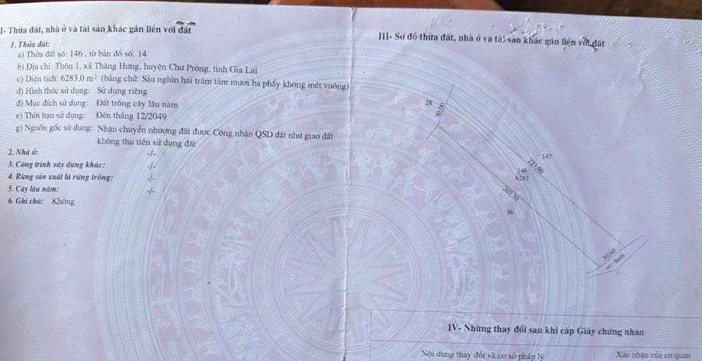 Bán Gấp 2ha Đất Vườn Cafe Chư Prông, Gia Lai - Sổ Đỏ Sẵn Sàng