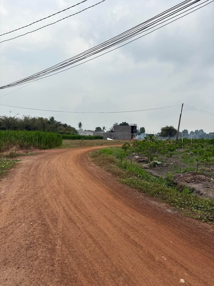 Đất nền Dầu Tiếng 230m² - Sổ đỏ chính chủ, View Núi Bà