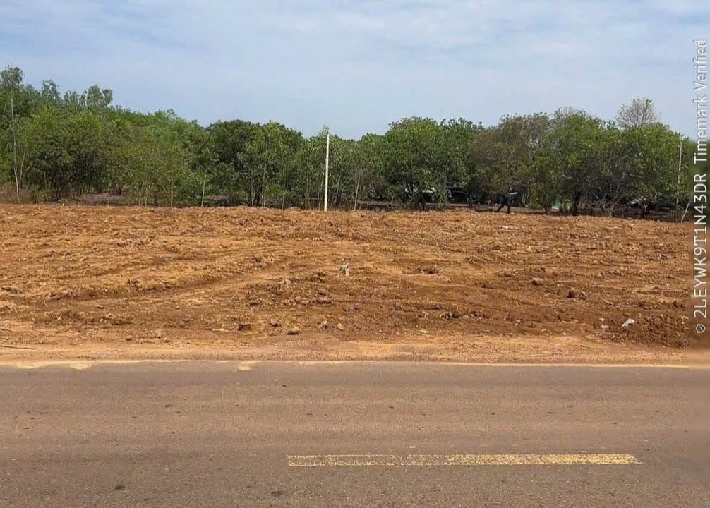 Đất thổ cư 200m² Bàu Bàng, Bình Dương - Giá 190 triệu, gần KCN, sổ sẵn