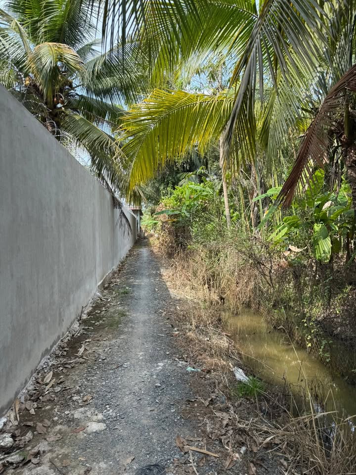 Đất Vườn 1700m² Cần Thơ - Gần Di Tích Tây Đô - Giá Đầu Tư 1.615 Tỷ