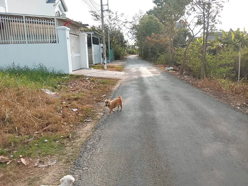 Đất nền Phước Hưng Bà Rịa 111m² – Sổ đỏ chính chủ, tiềm năng tăng giá!