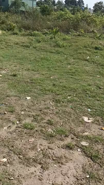 Kho/Xưởng 4000m² Đường Ngô Quyền, Xuân Lộc - Diện tích lớn, hoạt động ngay!