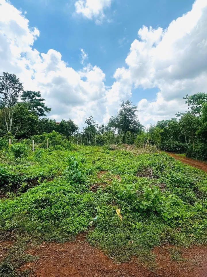 Đất nền An Lạc, Buôn Hồ 150m² - Sổ đỏ chính chủ, giá tốt!