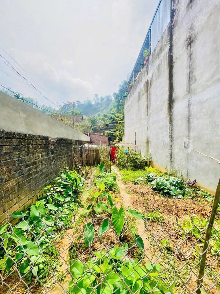 Bán Đất Nền Kim Đồng, Yên Bái 110m² - Sổ Đỏ Sẵn Sàng