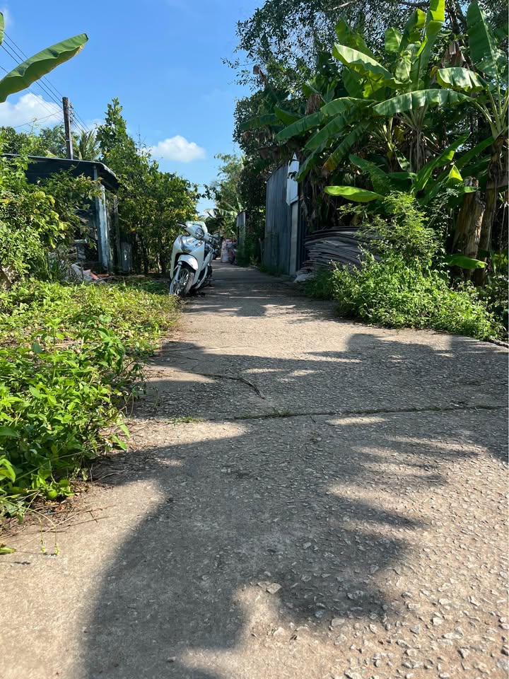 Đất nền Xã Thổ Châu, Phú Quốc 114m² chỉ 2xx triệu - Thổ cư 100%!