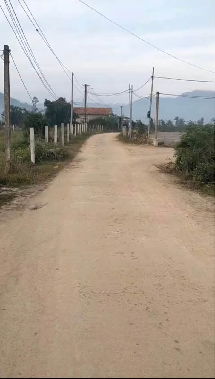 Đất Vườn Quy Nhơn 2400m² - Sẵn Sàng Xây Nhà Vườn, Trồng Cây Ăn Trái